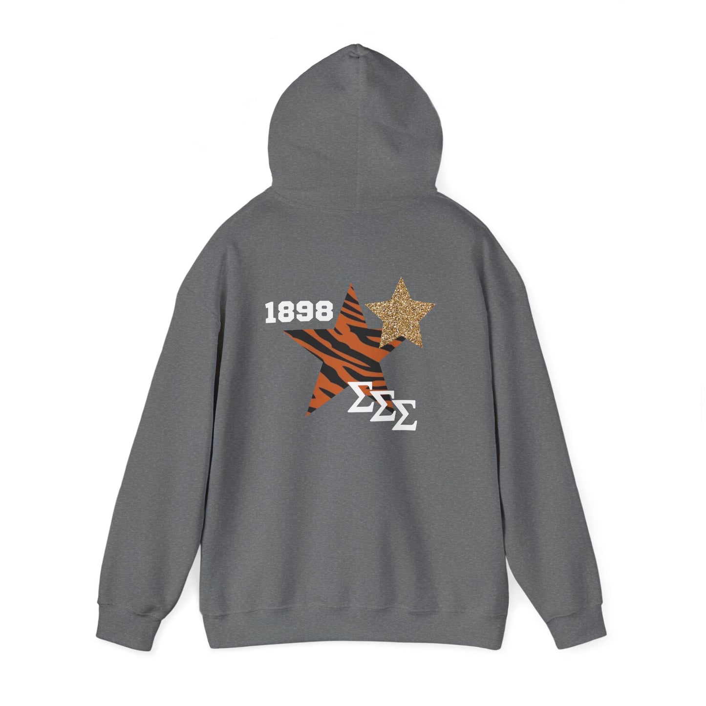 Tri Sigma Football/Homecoming Hoodie
