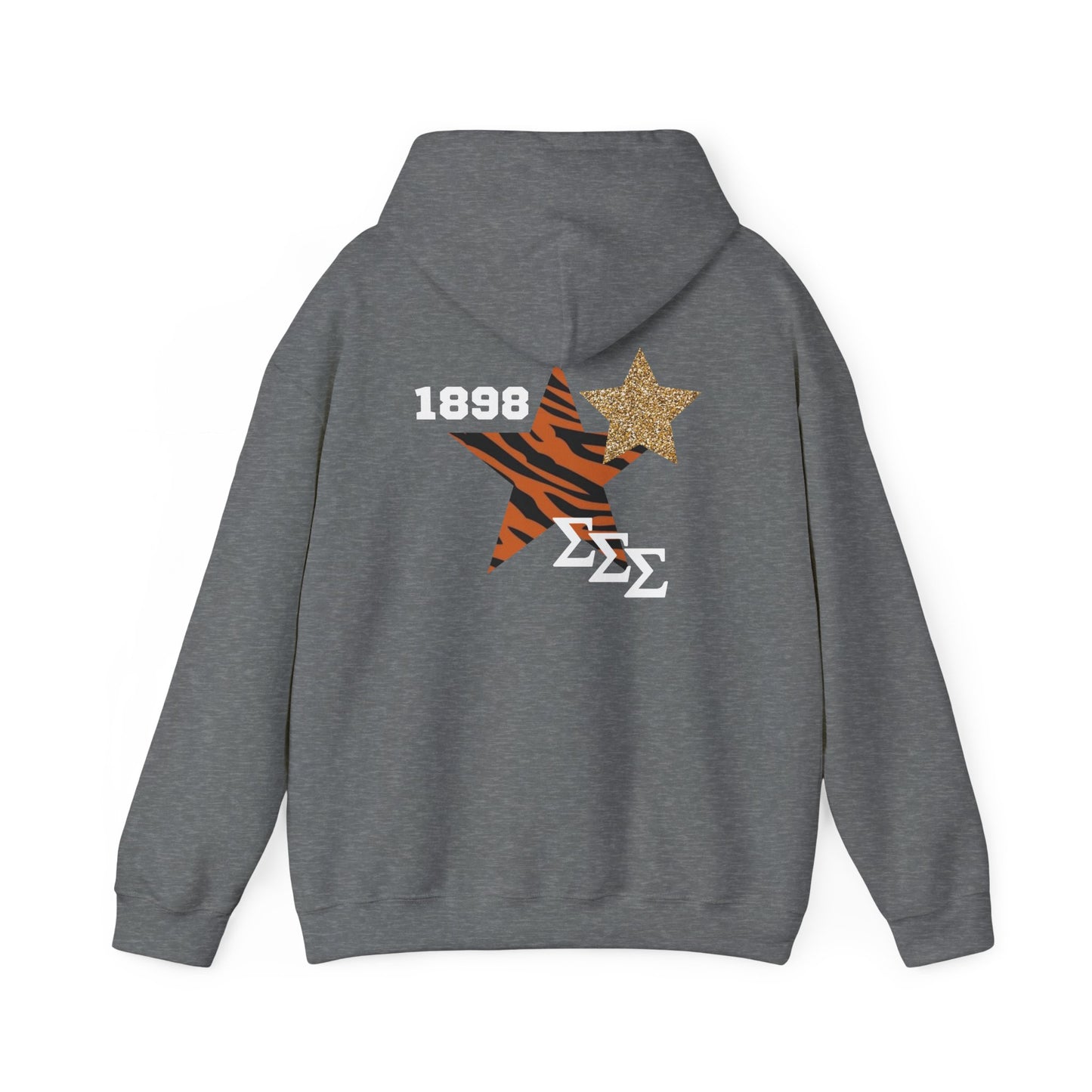 Tri Sigma Football/Homecoming Hoodie